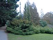 Promenad 2003-11-02 009.jpg